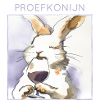 Proefkonijn