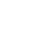 Jack Russell Terrier