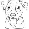 Jack Russell Terrier