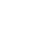 veni vidi Wodka