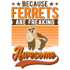 Ferret Gift