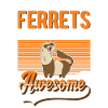 Ferret Gift