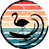 Surfender Flamingo
