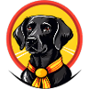 Black dog with yellow ribbon