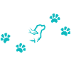 crazy dog parent