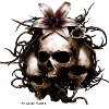 Flowers and Skulls