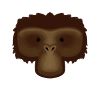 monkey