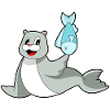 Seal Fish