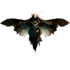 Dark Moth