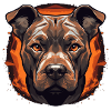 Pit bull