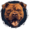 Pitbull