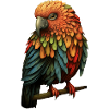 Kunterbunter Papageienvogel