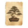 bonsai Japanese Art