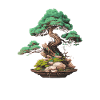 bonsai Japanese Art