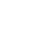 bonsai Japanese Art