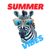 SUMMER VIBES