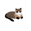 Geek et chat
