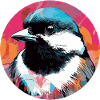 Chickadee bird