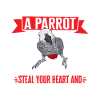 Graupapagei African Grey Parrot Papagei