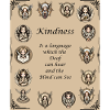 Kindness