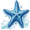 Étoile de mer