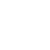 Scout Patrol