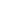 Scout