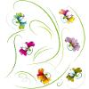 vrille florale, fleurs