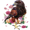 The red-and-black eagle