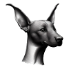 Dobermanntrainer Hund Dobermannwelpe Dobermann