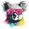 Foo the koala