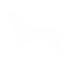 Jack Russell Terrier Silhouette