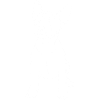 Bullterrier Puppy