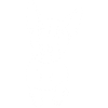 Bullterrier Puppy