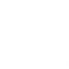 Bullterrier