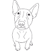 Bullterrier Puppy