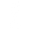 Bullterrier