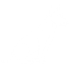 Bullterrier