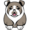 Just cute dog