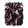 Chihuahua Chien Papillon 09