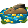 Capybara