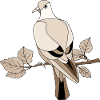 Vogel