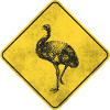 Emu