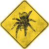 Tarantula