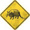 Armadillo
