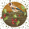 Bunter Vogel