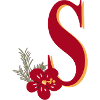 Letter S with flower