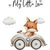 Fox Oldtimer