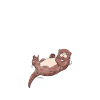 Otter