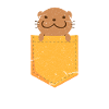 Otter